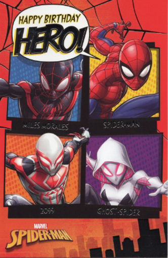 Picture of HAPPY BIRTHDAY HERO! BIRTHDAY CARD SPIDERMAN